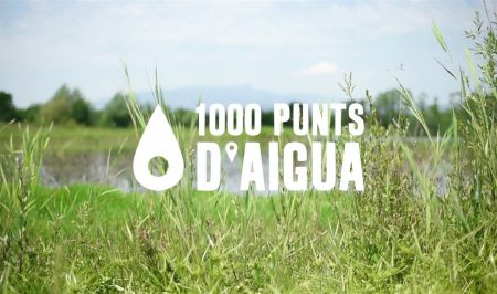 1000 punts d aigua