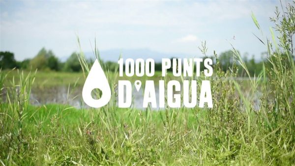 1000 punts d aigua
