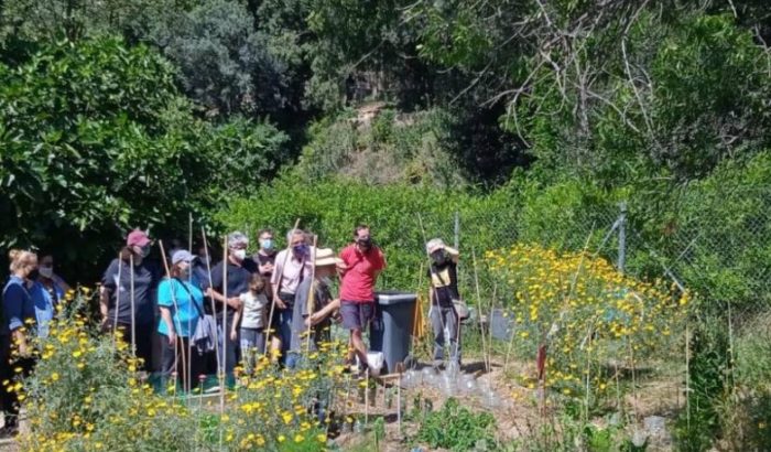 48 h agricultura urbana