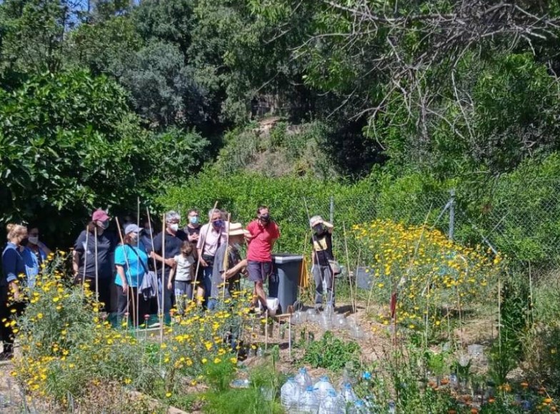 48 h agricultura urbana