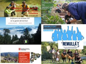 6 projectes de voluntariat ambiental