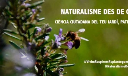 Adenc coronavirus naturalisme des de casa