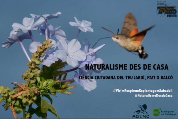 Adenc naturalisme des de casa