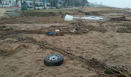 Amics Parc Dalmau neteja 25 gener