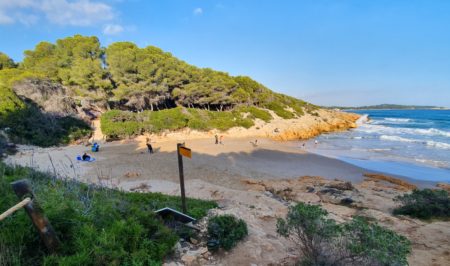 Morrots de la Savinosa