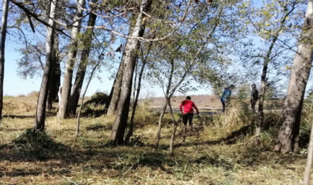 Banqueta de Juneda voluntariat