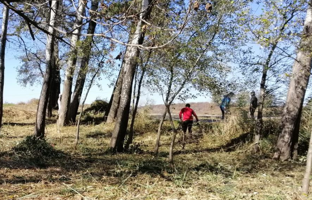 Banqueta de Juneda voluntariat