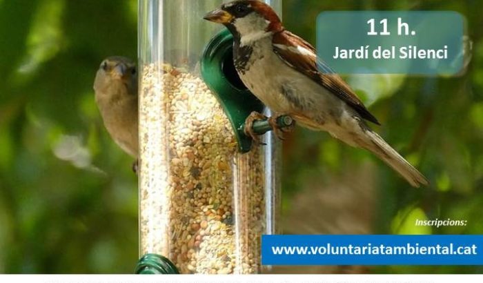 voluntariat ambiental al Jardí del Silenci