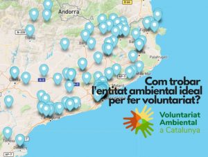 Com trobar l’entitat ambiental ideal per fer voluntariat?