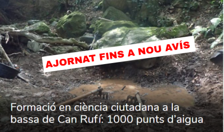 Coronavirus Sorellona