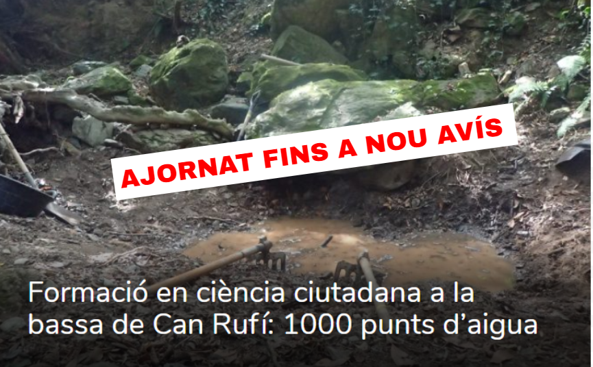 Coronavirus Sorellona