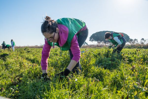 Espigolada Espigoladors