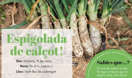 Espigolada de calçots