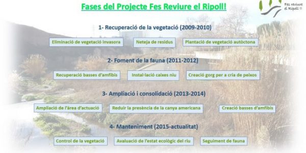 Fases-Fes-Reviure-el-Ripoll-700x350