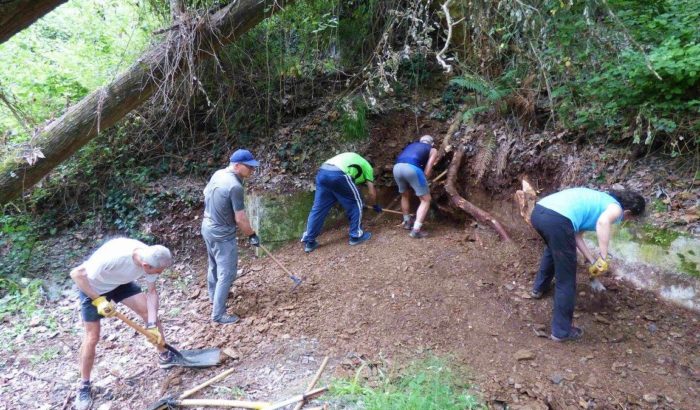 Fes Fonts Fent Fonting