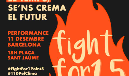 Fridays for future 11 desembre