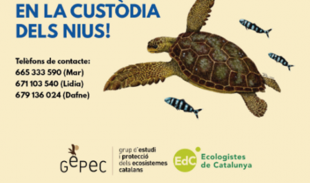 Gepec Tortuga Pineda