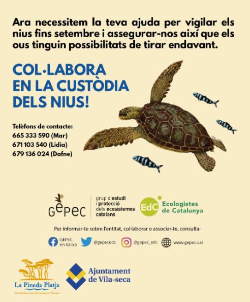 Gepec Tortuga Pineda