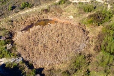 La pobla de Massaluca