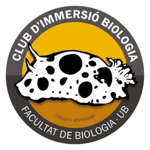 Logo CIB