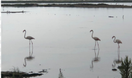 Monnatura Delta vol amb