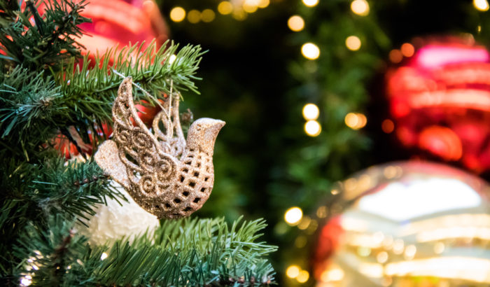 Regals de Nadal Solidaris amb la natura_Donant ambiental