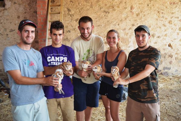 Oliba iaeden voluntariat