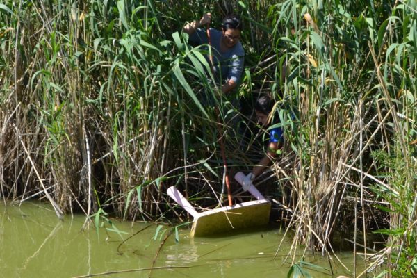 Olla del rei neteja 3