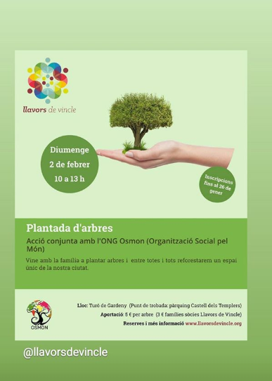 Osmon plantada 2 febrer
