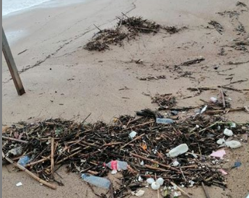 Polseres Verdes La conca Platja D Aro detall