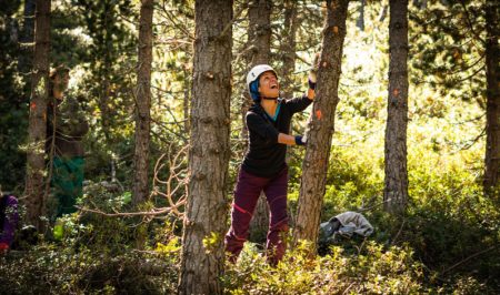 Projecte Boscos de Muntanya 1