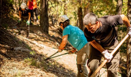 rojecte Boscos de Muntanya 2