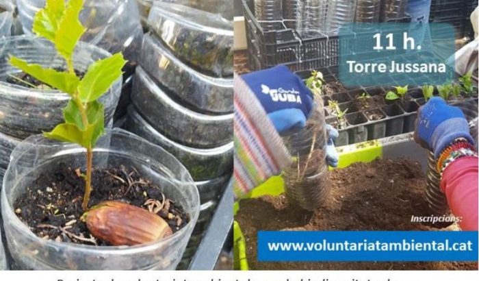 Torre Jussana 18 desembre