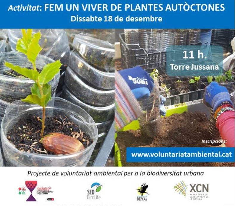 Torre Jussana 18 desembre