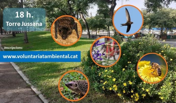 Xerrada Biodiversitat Urbana 24 de novembre