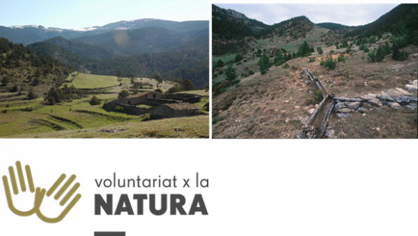 alinyà voluntariat ambiental