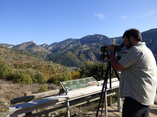Voluntariat ambiental forestal amb la Fundació Catalunya La Pedrera