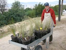 Voluntariat al Jardí Botànic de Barcelona