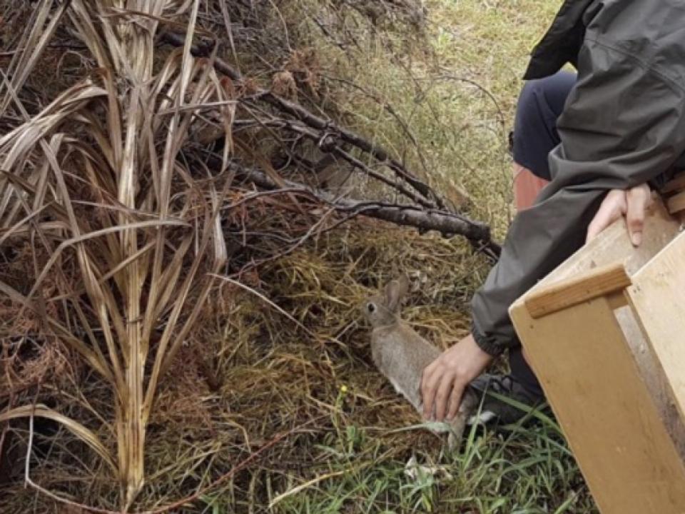 Voluntariat ambiental amb Apnae