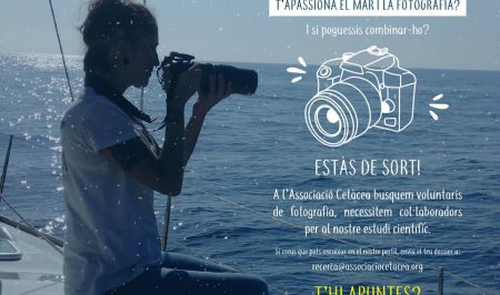 associació cetàcea voluntariat