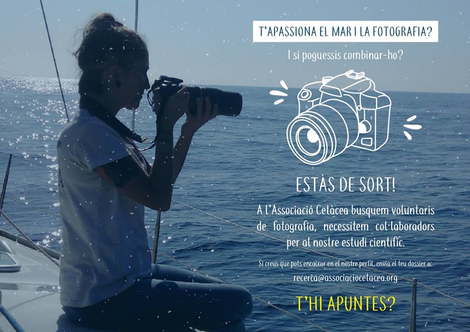 associació cetàcea voluntariat