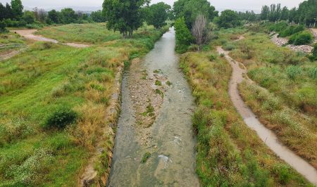 aurora fem francolí
