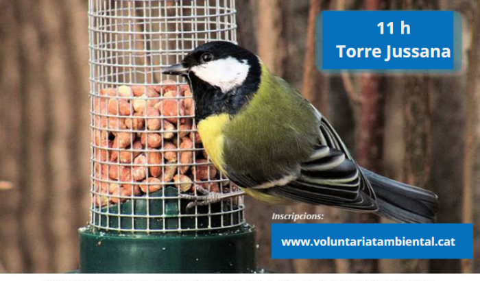 Voluntariat ambiental a Torre Jussana