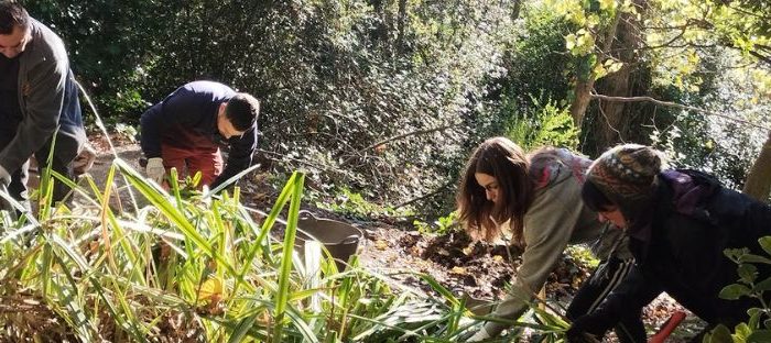 Voluntariat ambiental