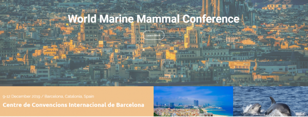 barcelona mamifers marins