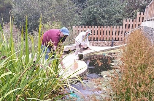 Voluntariat ambiental per la biodiversitat urbana a Barcelona
