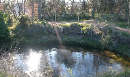 bassa montilivi a Girona