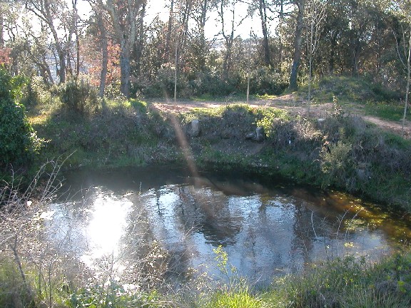 bassa montilivi a Girona