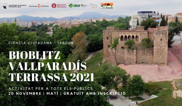 bioblitz a terrassa
