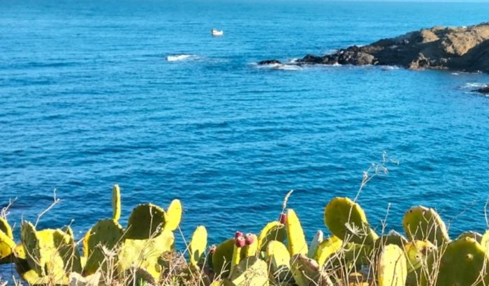 biomarato lloret foto